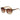 Bloc Sunglasses FF1 Jasmine Tortoiseshell