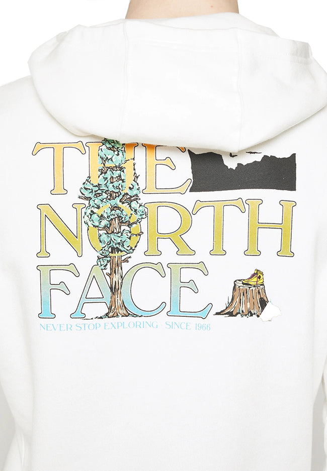 The North Face Mens Seasonal Graphic Hoodie Gardenia White Brandy Brown