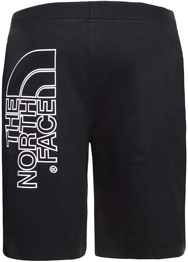 The North Face Mens Graphic Shorts Light TNF Black